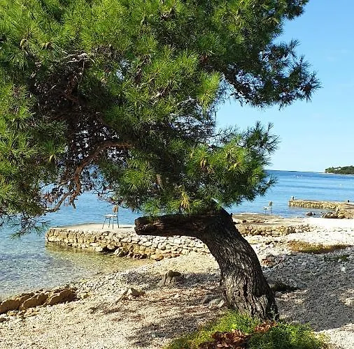 Zara Beauty Apartman *